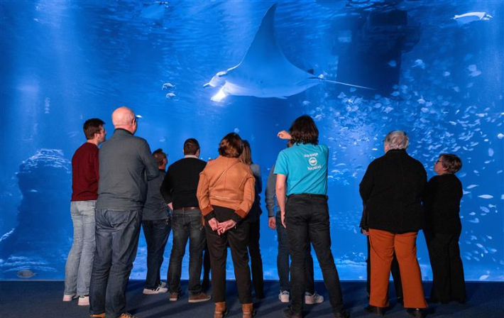 cabaret repas spectacle drome le bongo